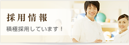 採用情報